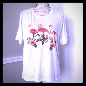 J. Jill Beach Tee Collection